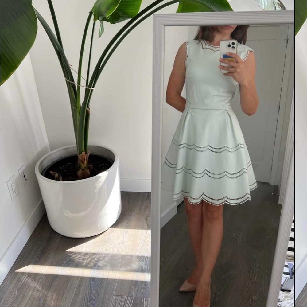 Ted Baker Skater Dress size Small